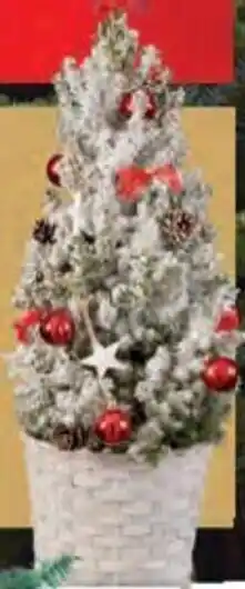 Lidl Apartment Christmas Tree 19cm offer