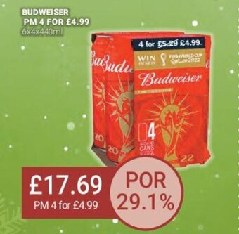 Bestway Budweiser offer