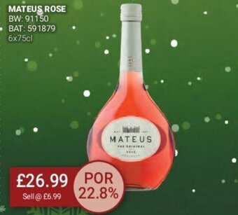 Bestway Mateus Rose offer