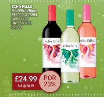 Bestway Echo falls offer