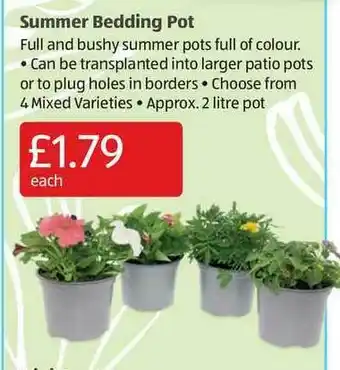 Aldi Summer Bedding Pot offer