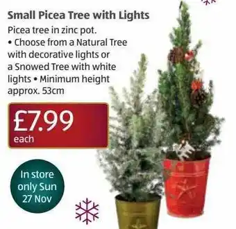Aldi Small picea tree with lights offer