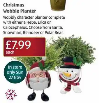 Aldi Christmas wobble planter offer