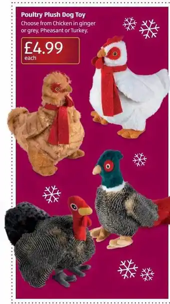 Aldi Poultry plush dog toy offer