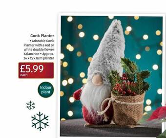 Aldi Gonk planter offer