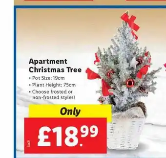 Lidl Apartment christmas tree offer