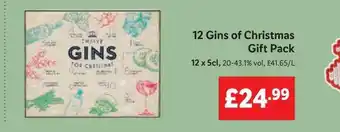 Lidl 12 gins of christmas gift pack offer