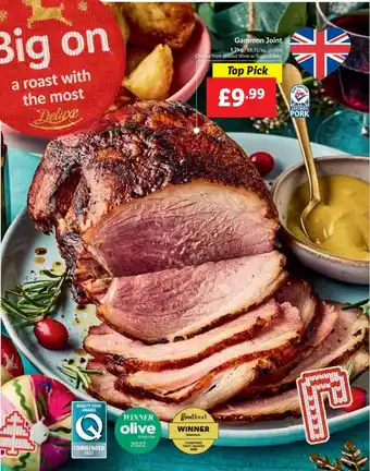 Lidl Gammon joint offer