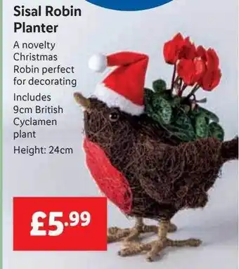 Lidl Sisal robin planter offer