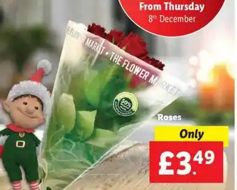 Lidl Roses offer