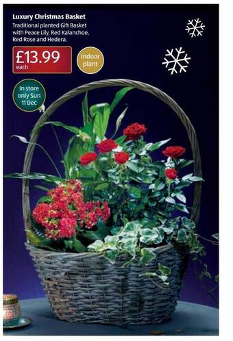 Aldi Luxury christmas basket offer