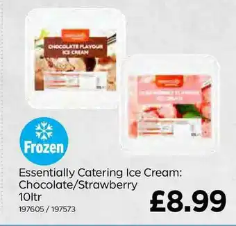 Bestway Essentially Catering Ice Cream: Chocolate-Strawberry 10Ltr offer