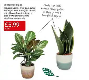 Aldi Bedroom Foliage offer
