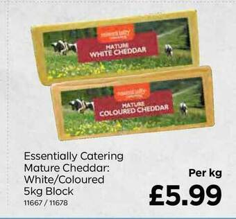 Bestway Essentially Catering Mature Cheddar: White-Coloured 5Kg Block offer
