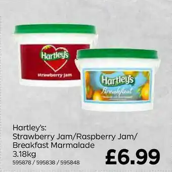 Bestway Hartley's: Strawberry Jam-Raspberry Jam-Breakfast Marmalade 3.18Kg offer