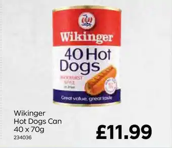 Bestway Wikinger Hot Dogs Can 40 X 70g offer