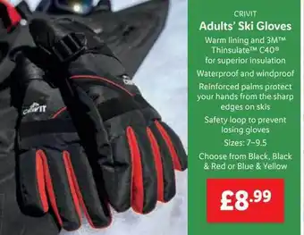Lidl Crivit adults' ski gloves offer