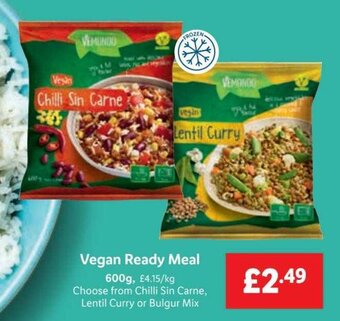 Lidl Vegan Ready Meal 600g offer