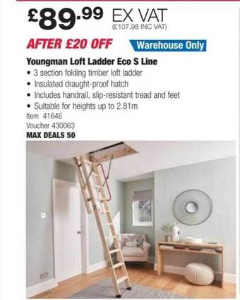 Costco Youngman loft ladder eco s line offer