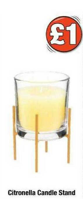 Poundland Citronella Candle Stand offer