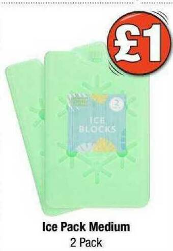Poundland Ice Pack Medium 2 Pack offer