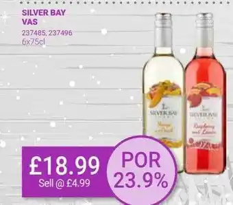 Bestway Silver bay vas offer