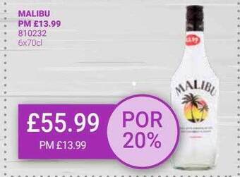 Bestway Malibu offer