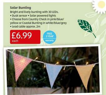 Aldi Solar Bunting offer