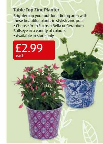 Aldi Table Top Zinc Planter offer