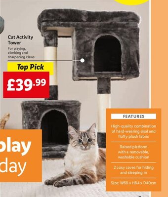 Lidl Cat Activity Tower offer
