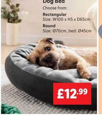 Lidl Dog bed offer