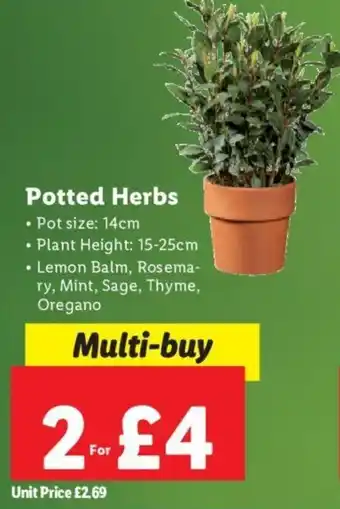 Lidl Potted Herbs offer