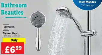 Lidl Livarno Home Shower Head offer