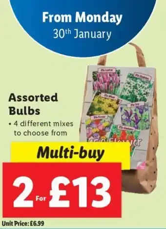 Lidl Assorted Bulbs offer