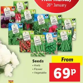 Lidl Seeds offer