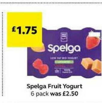 SuperValu Spelga Fruit Yogurt offer