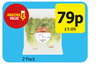 Londis Jack's lettuce offer