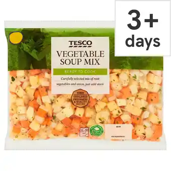 Tesco Tesco vegetable soup mix 600g offer