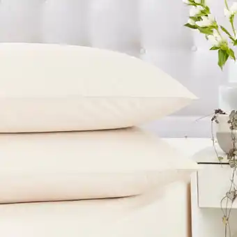 Tesco Silent night ecru cotton rich pillowcase pair offer