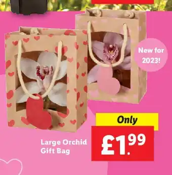 Lidl Large Orchid Gift Bag offer