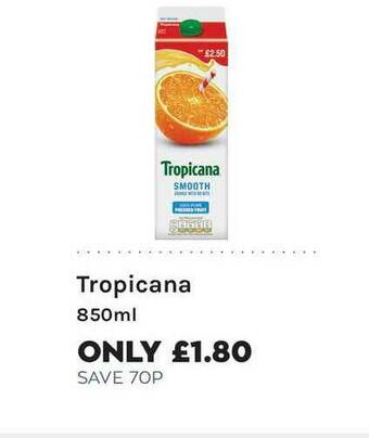Mace Tropicana offer