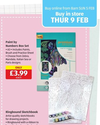 Aldi Paint by Numbers Box Set offer