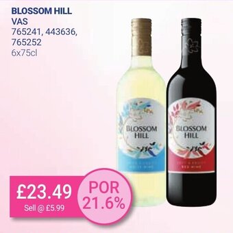 Bestway Blossom Hill 6x75cl offer