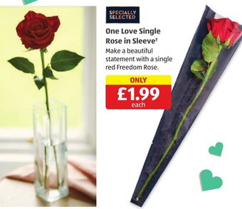 Aldi One Love Single Rose in Sleeve offer