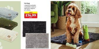 Aldi Pet Rug offer