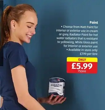 Aldi Deco Craft Paint 750ml offer