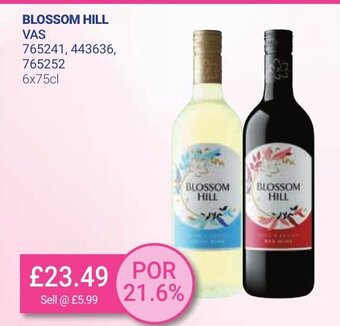 Bestway Blossom Hill 6x75cl offer
