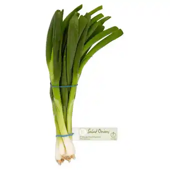 Morrisons Morrisons salad onions (minimum 100g) offer