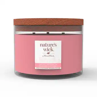 Tesco Natures wick sea salt watermelon candle 433g offer