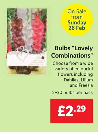 Lidl Bulbs "Lovely Combinations" offer